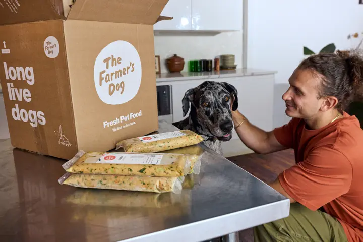 Dog waiting for fresh food