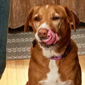 Picky eating